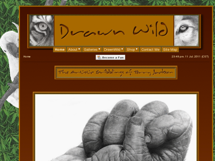 www.drawnwild.com