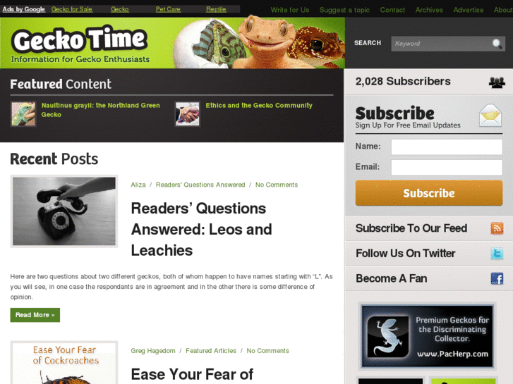 www.geckotime.com