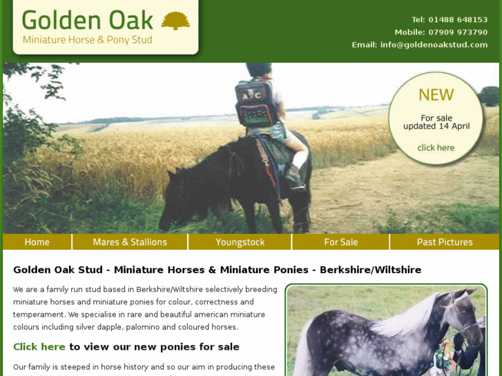 www.goldenoakstud.com