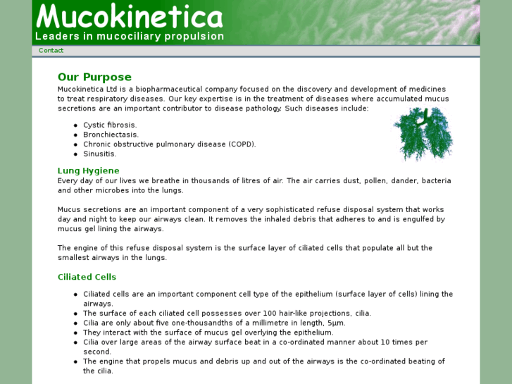 www.mucokinetica.com