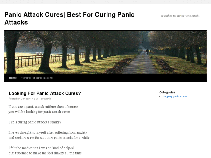 www.panicattackcures.tk