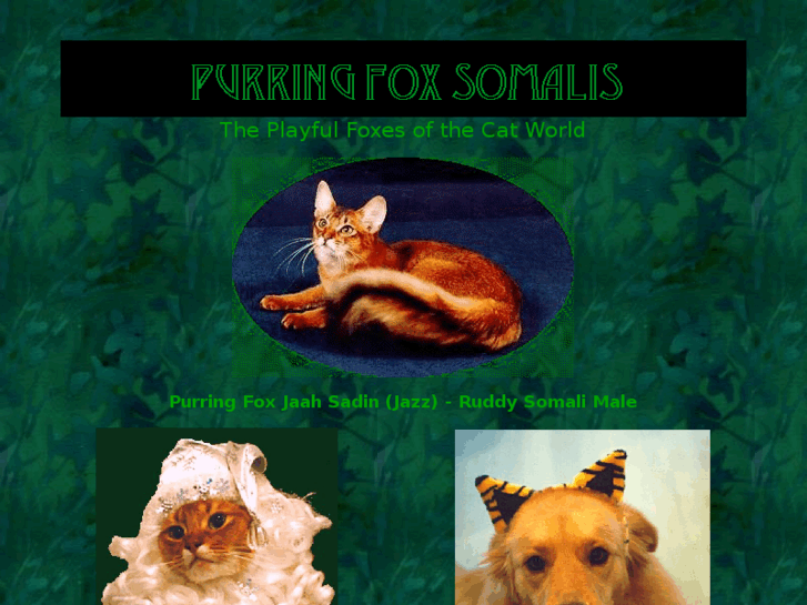 www.purringfox.com