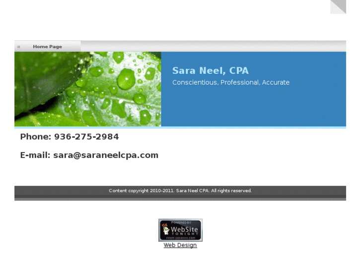 www.saraneelcpa.com