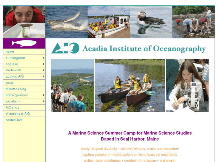 www.acadiainstitute.com