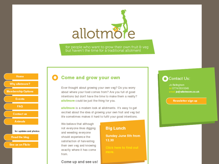 www.allotmore.com