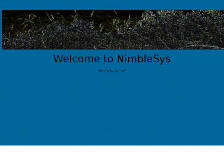 www.nimblesys.com