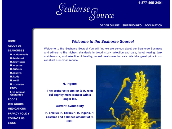 www.seahorsesource.com