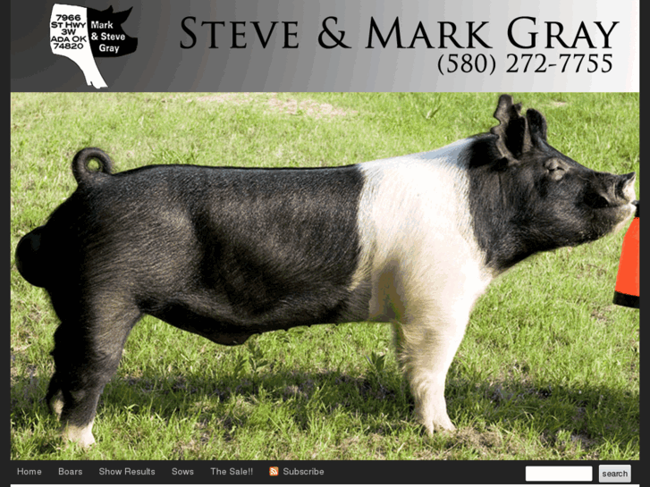 www.steveandmarkgray.com