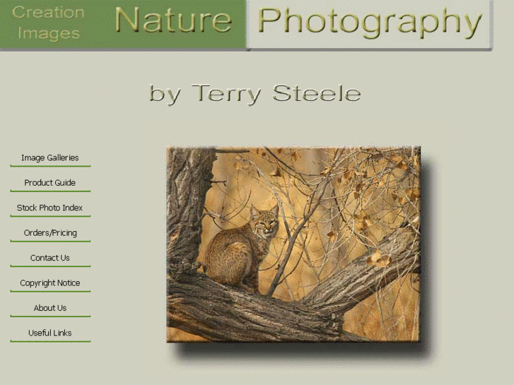 www.terrysteelenaturephotography.com