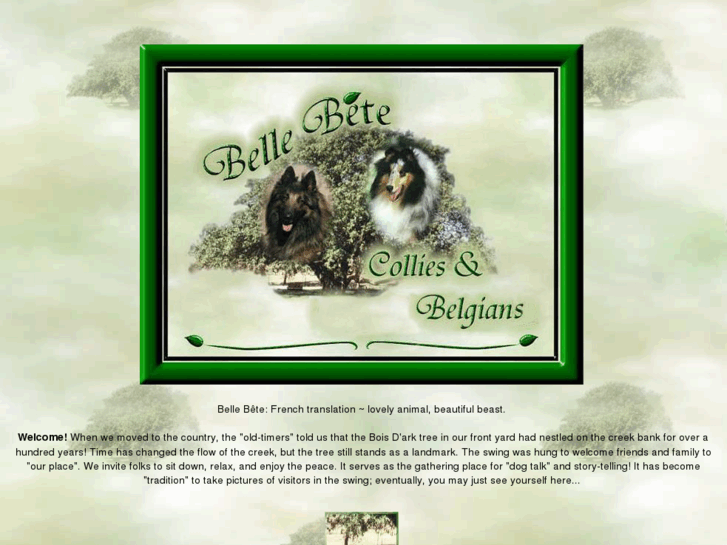 www.bellebetekennel.com