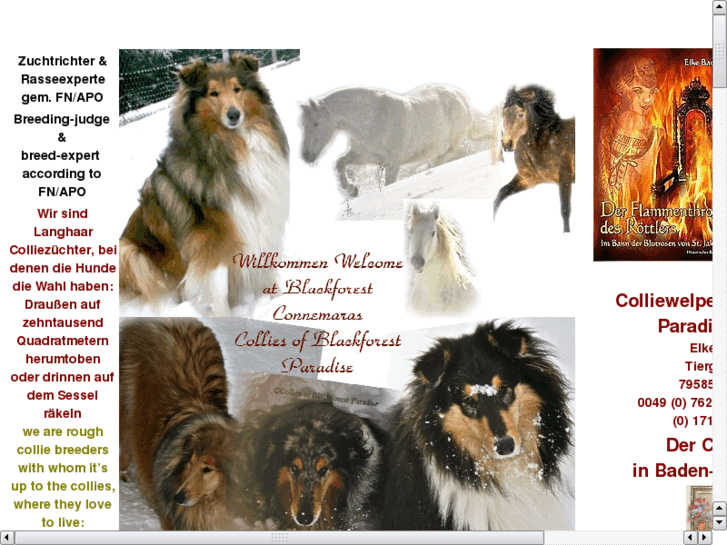 www.colliewelpen.com