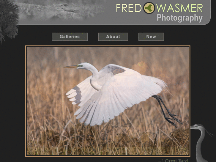 www.fredwasmer.com