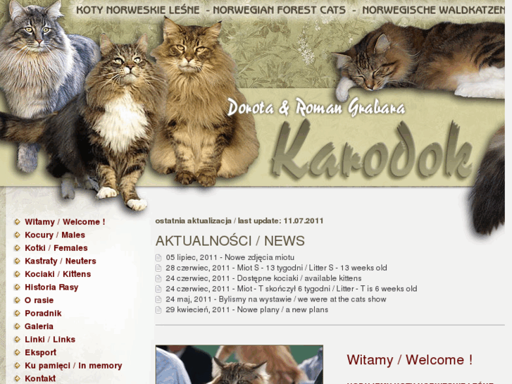 www.karodok.com