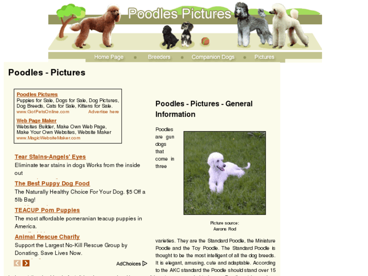 www.poodles-pictures.com