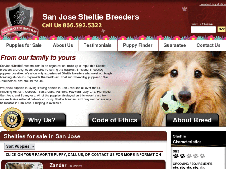 www.sanjosesheltiebreeders.com