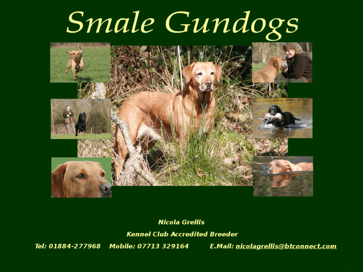 www.smalegundogs.com