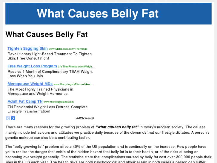 www.whatcausesbellyfat.com