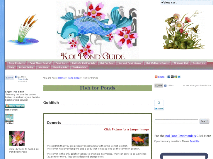 www.buy-koi.com