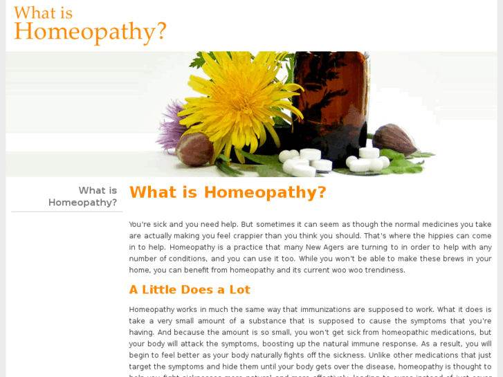 www.homeopathicnurses.org