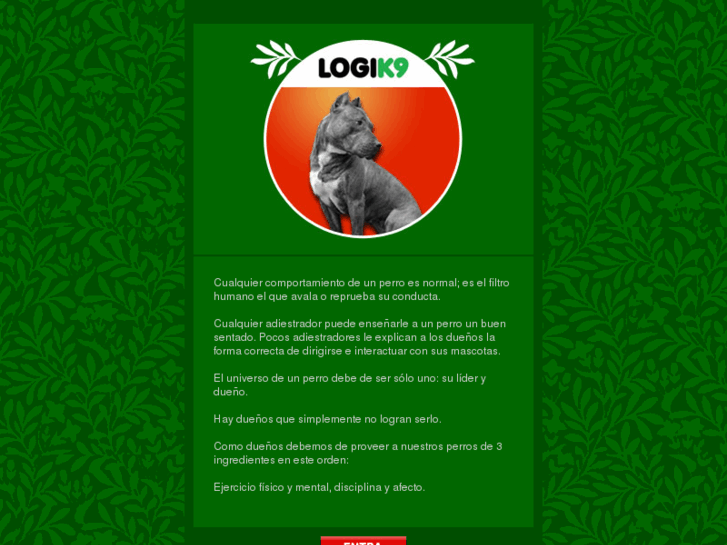www.logik9.com