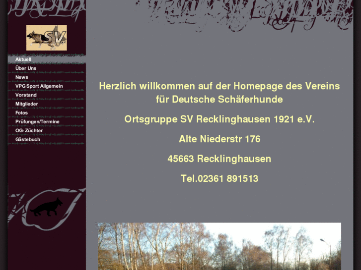 www.sv-recklinghausen1921.com