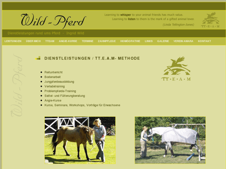 www.wild-pferd.com