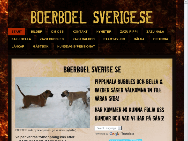 www.boerboelsverige.se