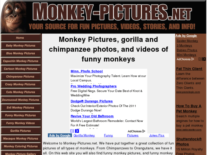 www.monkey-pictures.net