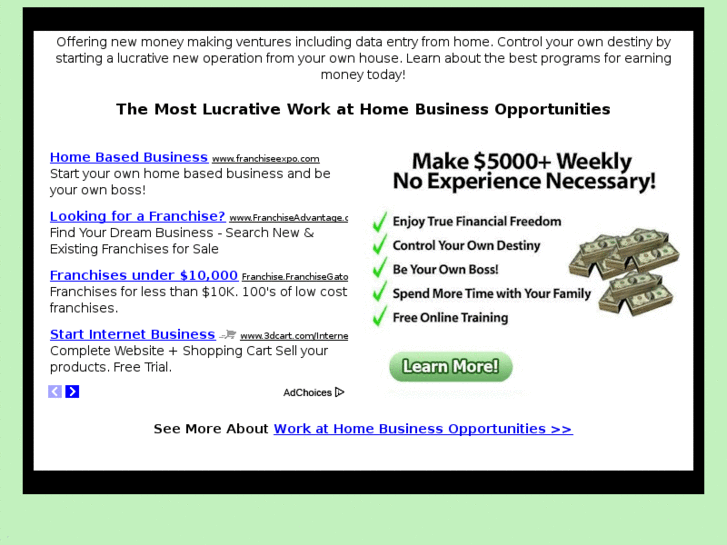 www.work-at-home-business-dot.com