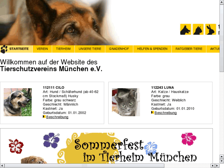 www.xn--tierheim-mnchen-8vb.com