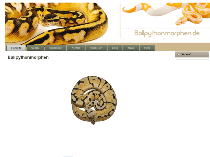 www.ballpythonmorphen.de