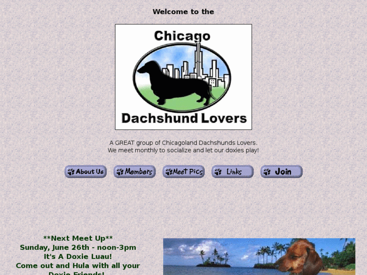 www.chicagodachshundlovers.com