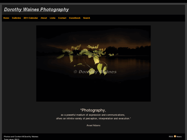 www.dorothywaines.com