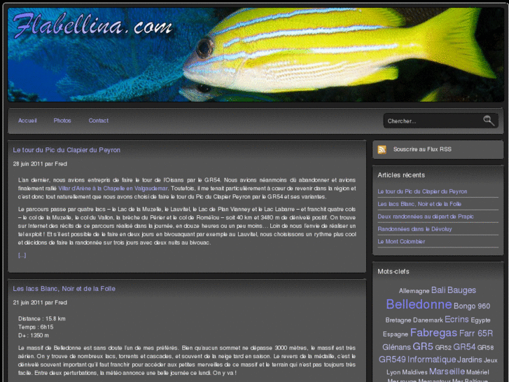 www.flabellina.com