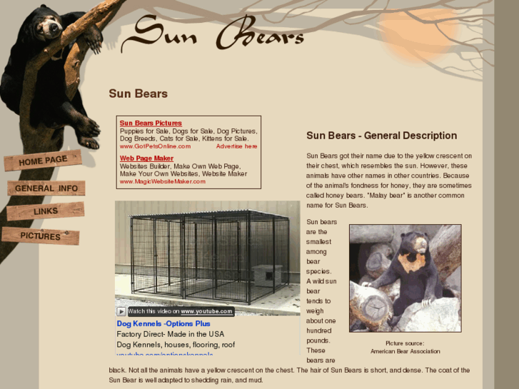 www.sun-bears.com