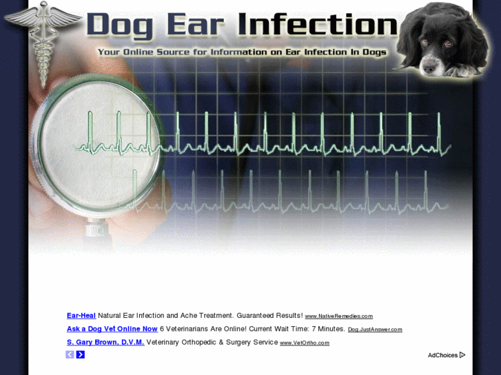 www.dogearinfection.info