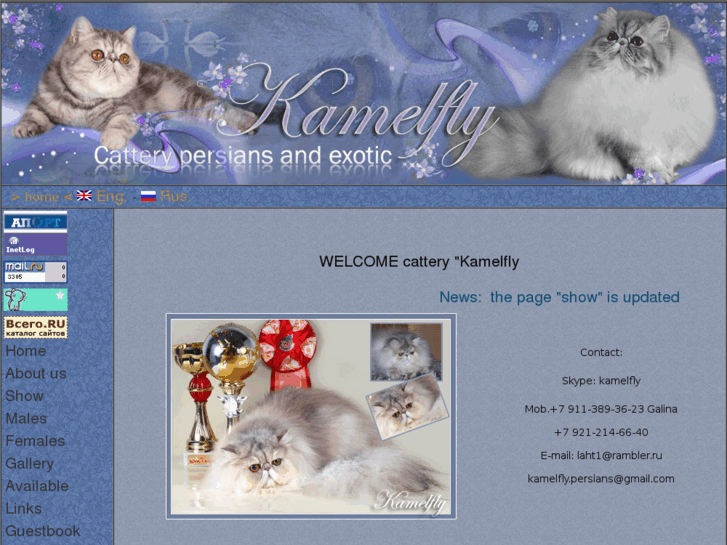 www.kamelfly.com