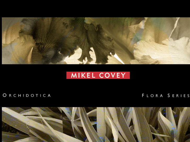 www.mikelcovey.com