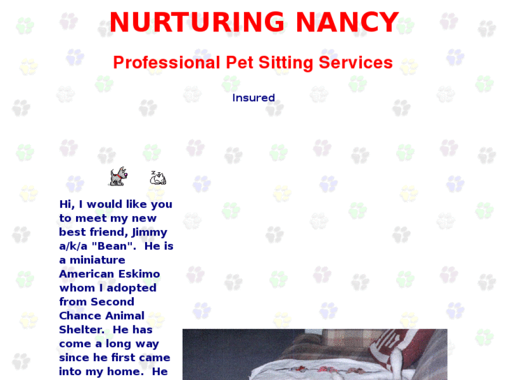 www.nurturingnancy.com