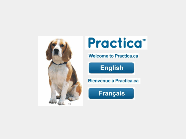 www.practica.ca