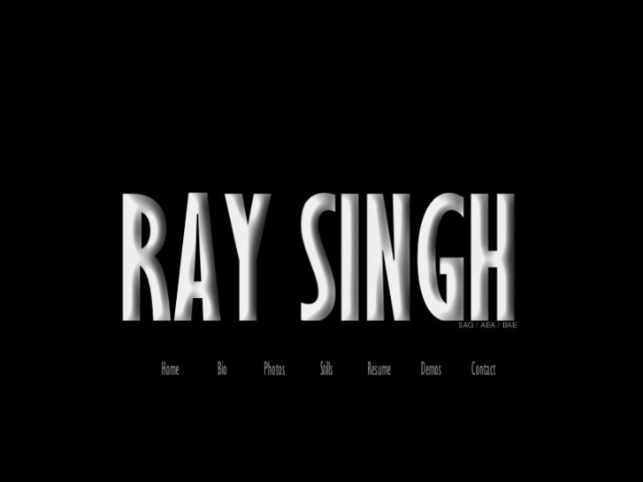 www.raysingh.net