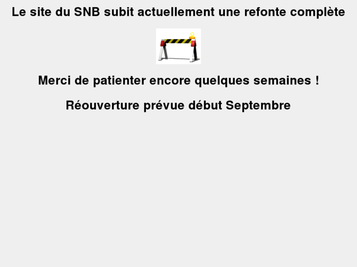 www.snb-services.org