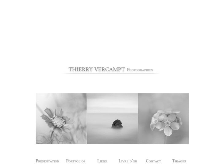 www.thierryvercampt.com