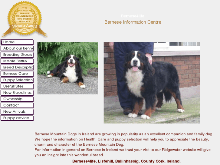 www.bernese4life.com