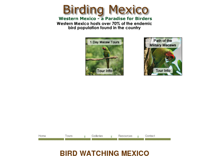 www.birdinginmexico.com