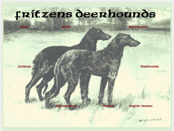 www.fritzens-deerhounds.de