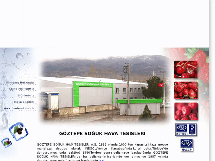 www.goztepefrozen.com