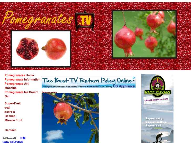 www.pomegranates.tv