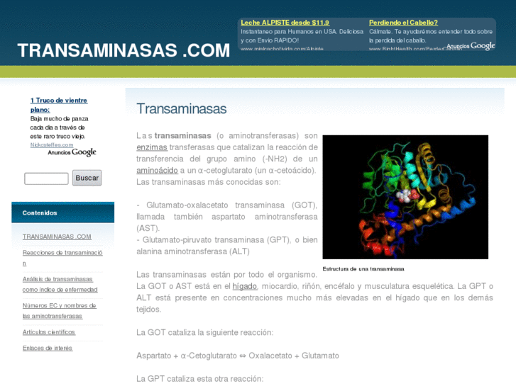 www.transaminasas.com