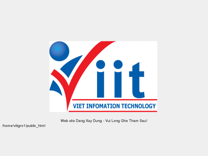 www.viit-group.com